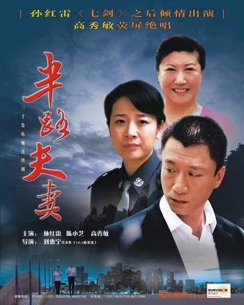 什么是半路夫妻（2005年陈小艺、孙红雷主演电视剧）