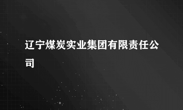 什么是辽宁煤炭实业集团有限责任公司