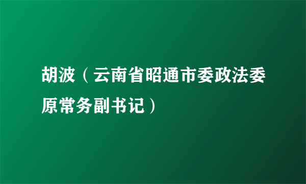 胡波（云南省昭通市委政法委原常务副书记）