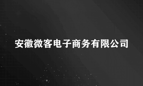 安徽微客电子商务有限公司