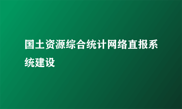 国土资源综合统计网络直报系统建设