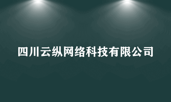 四川云纵网络科技有限公司