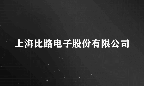 上海比路电子股份有限公司