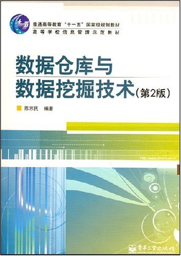 数据仓库与数据挖掘技术（2007年电子工业出版社出版的图书）