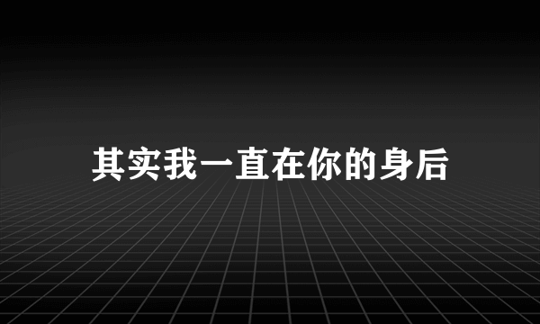 什么是其实我一直在你的身后