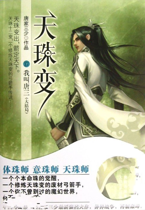 什么是天珠变（唐家三少创作的网络小说）