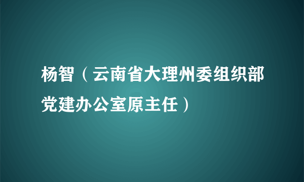 什么是杨智（云南省大理州委组织部党建办公室原主任）