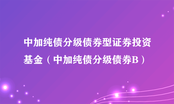 什么是中加纯债分级债券型证券投资基金（中加纯债分级债券B）