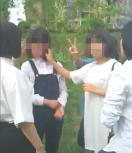 什么是5·3兰陵女学生群殴同校女生事件