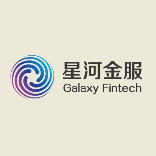 北京星河金服集团有限公司