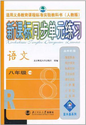 新课标同步单元练习·语文（8年级下）