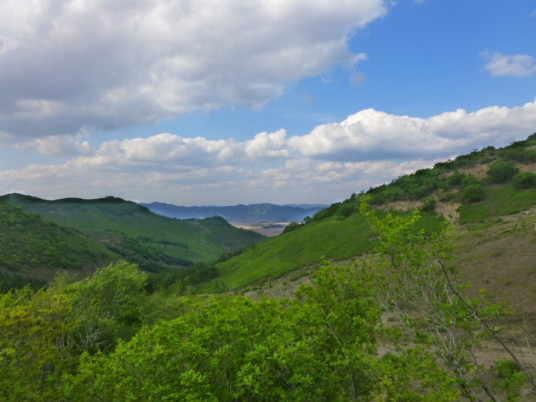 花豹冲村