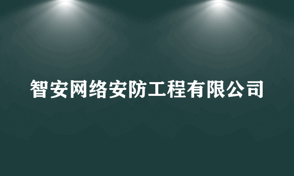 智安网络安防工程有限公司