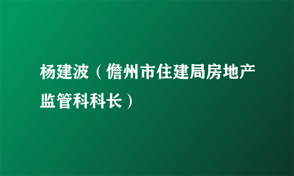 杨建波（儋州市住建局房地产监管科科长）