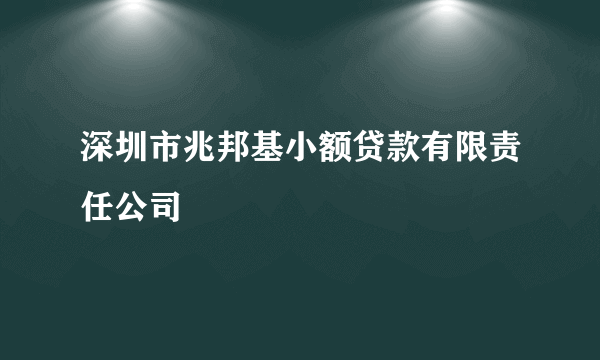 什么是深圳市兆邦基小额贷款有限责任公司