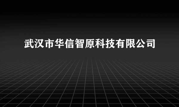 什么是武汉市华信智原科技有限公司