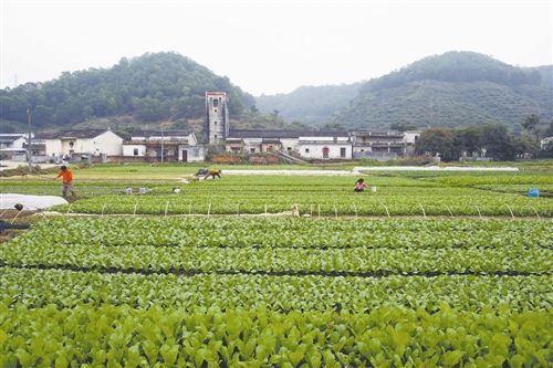 东莞凤岗南门山森林公园