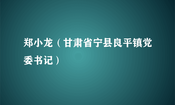 郑小龙（甘肃省宁县良平镇党委书记）