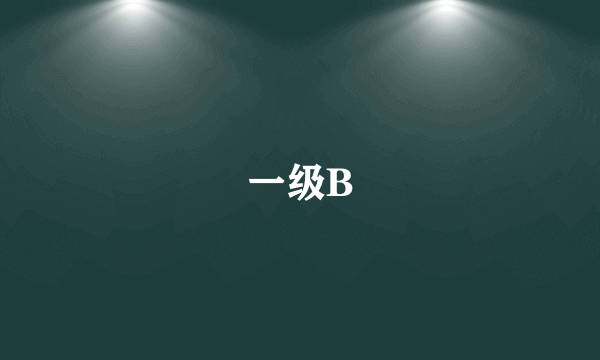 什么是一级B