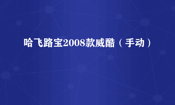 什么是哈飞路宝2008款威酷（手动）