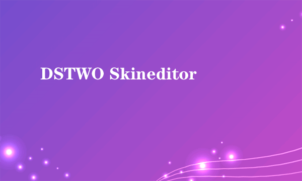 什么是DSTWO Skineditor