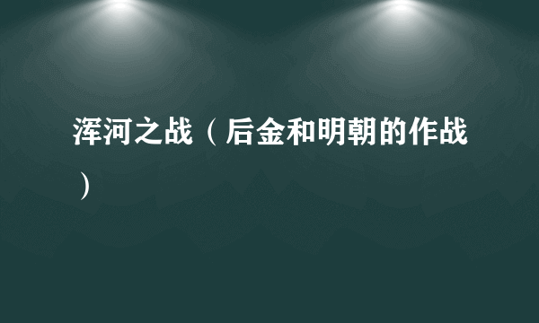 浑河之战（后金和明朝的作战）