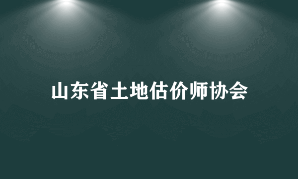 山东省土地估价师协会