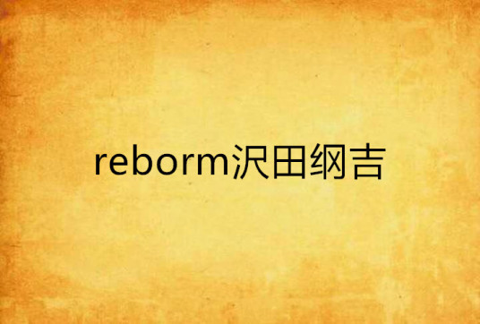 reborm沢田纲吉