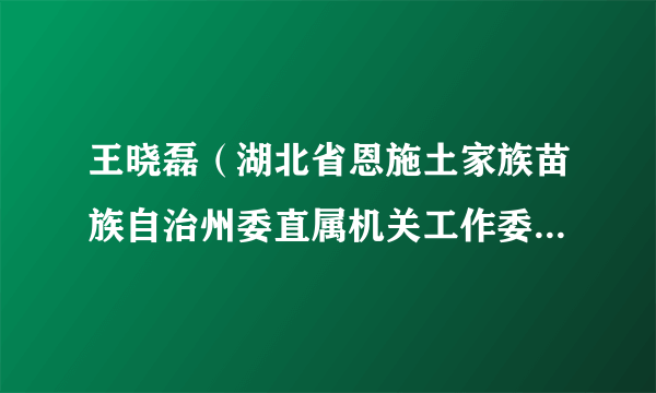 王晓磊（湖北省恩施土家族苗族自治州委直属机关工作委员会办公室主任、一级主任科员）