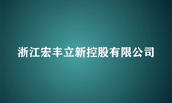 浙江宏丰立新控股有限公司