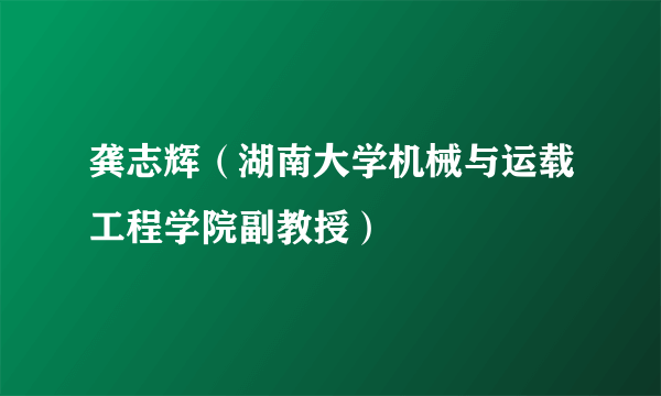 龚志辉（湖南大学机械与运载工程学院副教授）