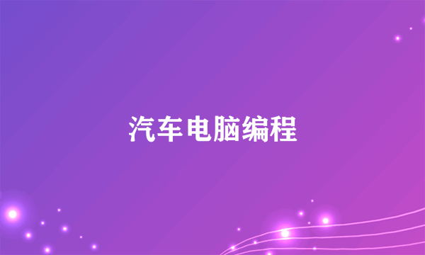 什么是汽车电脑编程