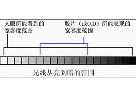 什么是宽容度