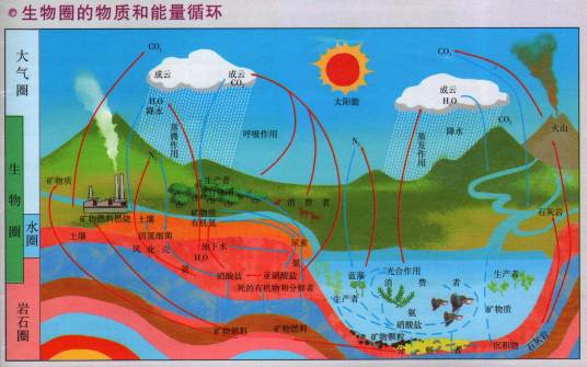 生物化学能