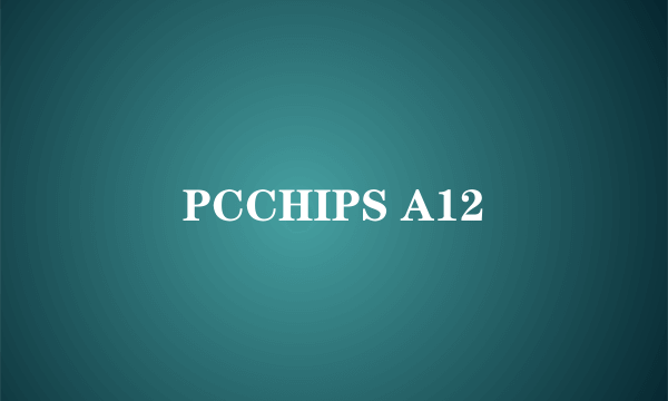 PCCHIPS A12