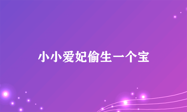 什么是小小爱妃偷生一个宝