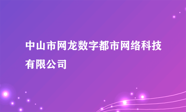 中山市网龙数字都市网络科技有限公司