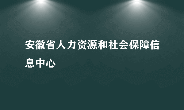 安徽省人力资源和社会保障信息中心