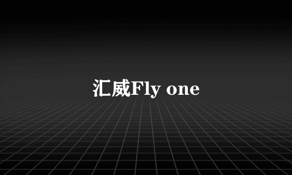 汇威Fly one