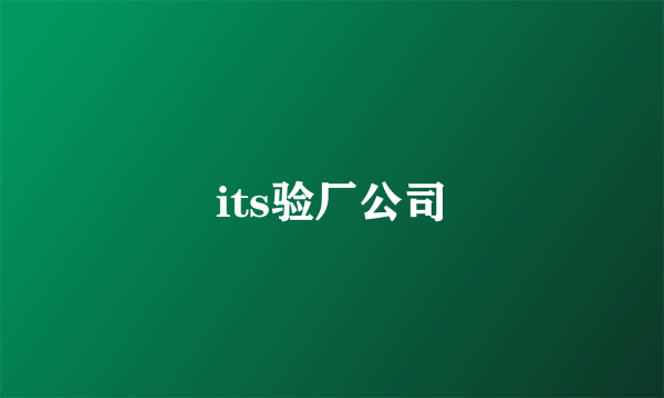 its验厂公司