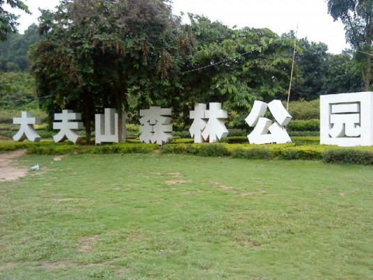 什么是大夫山森林公园