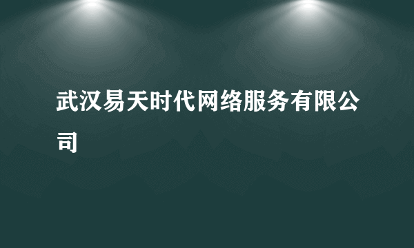 武汉易天时代网络服务有限公司