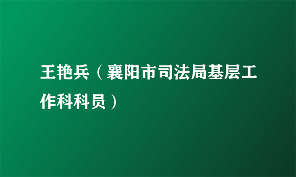 王艳兵（襄阳市司法局基层工作科科员）