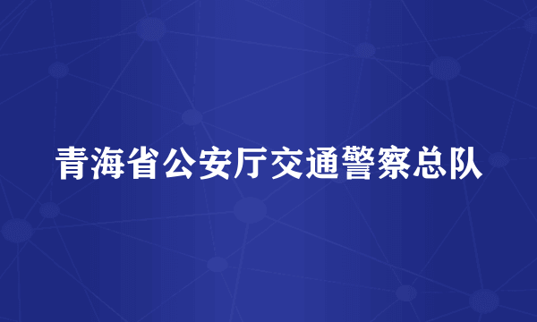 青海省公安厅交通警察总队