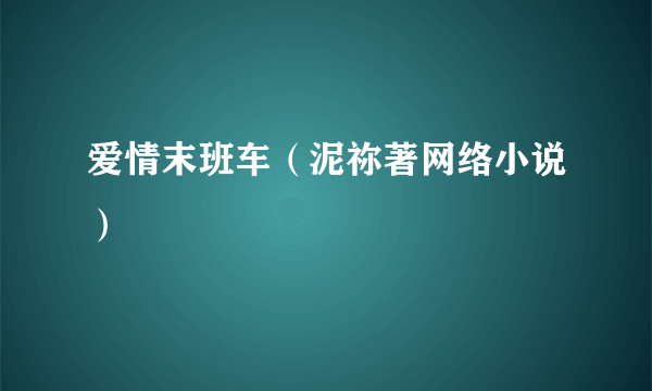 什么是爱情末班车（泥祢著网络小说）