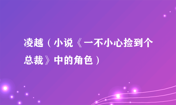 凌越（小说《一不小心捡到个总裁》中的角色）