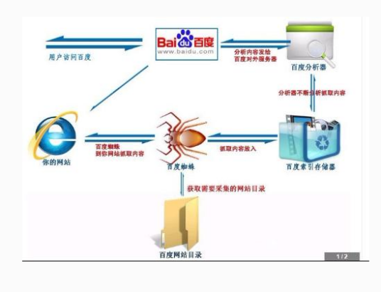 什么是百度蜘蛛