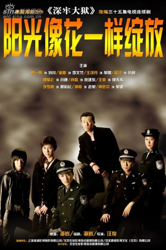 阳光像花一样绽放（2006年汪俊执导电视剧）