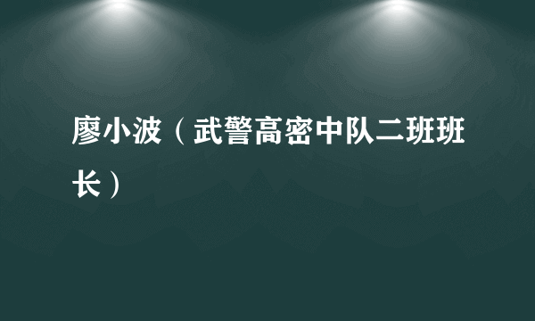 廖小波（武警高密中队二班班长）