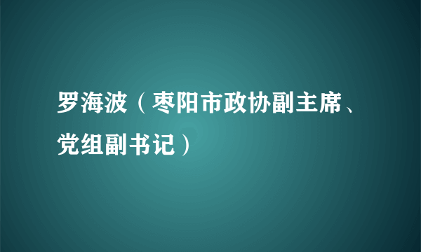 罗海波（枣阳市政协副主席、党组副书记）